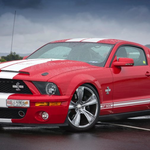 American Muscle