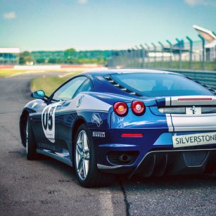 Italian Stallion