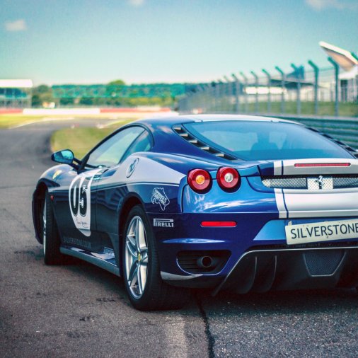 Italian Stallion